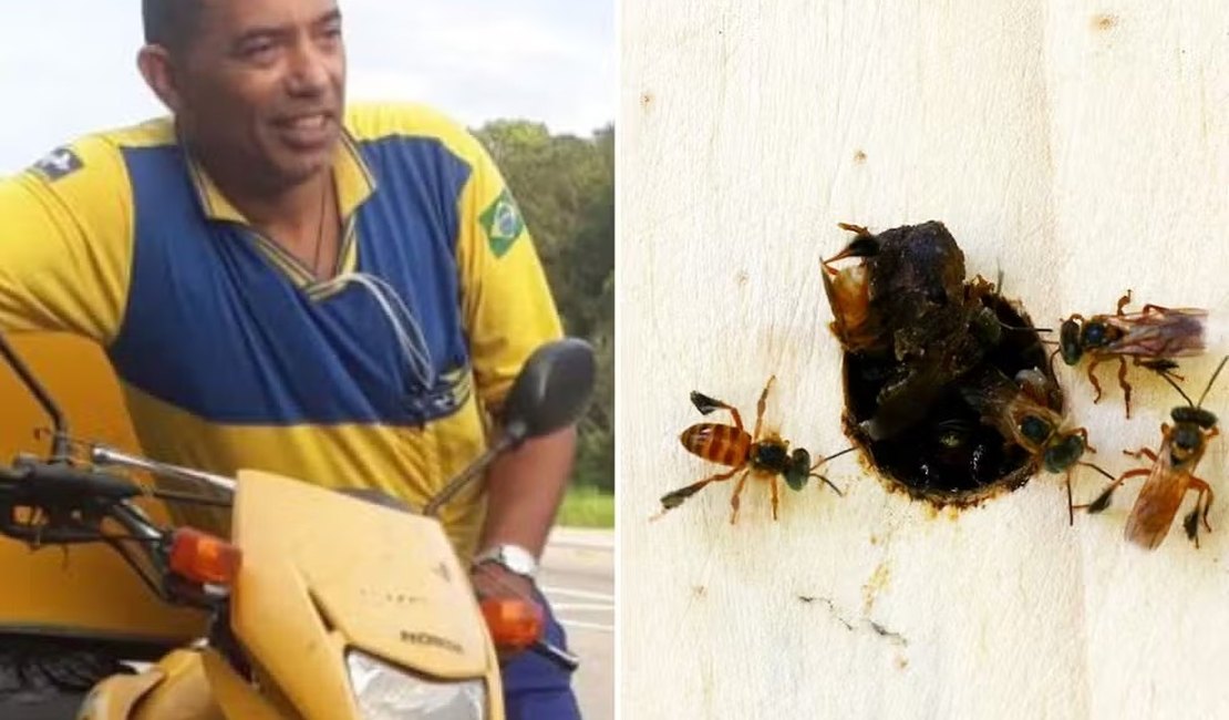 Carteiro morre após ser atacado por abelhas