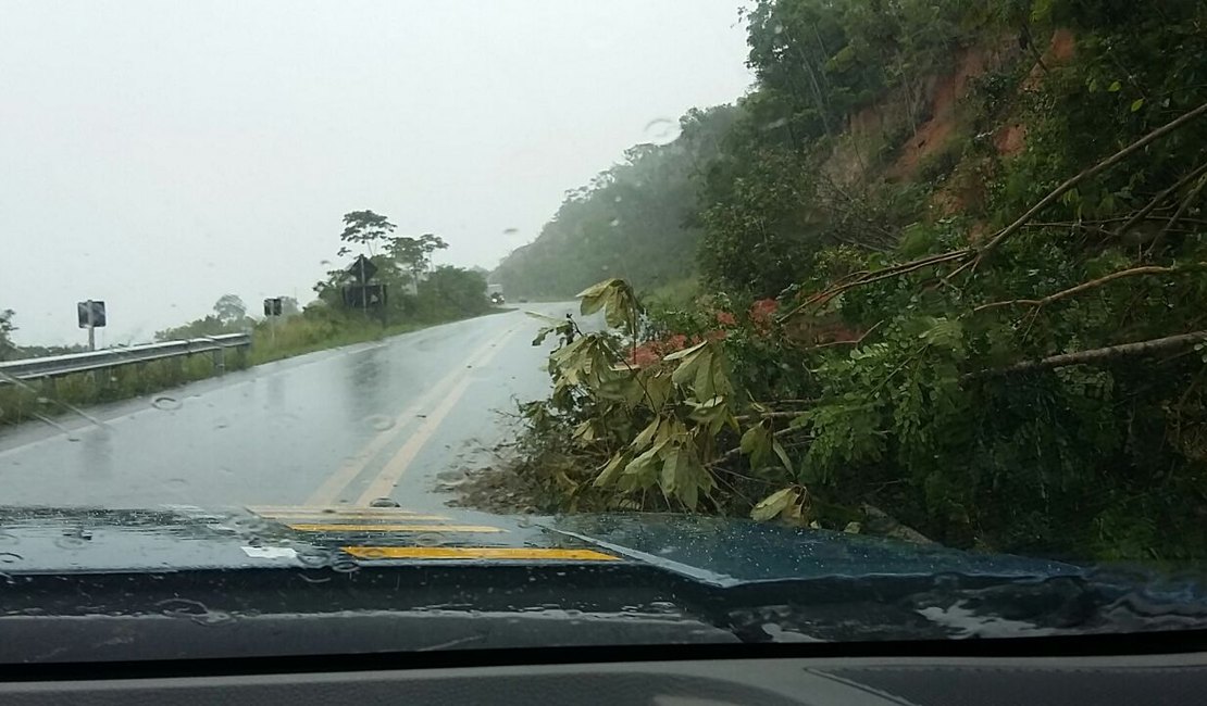 Chuvas causam interdição de rodovias federais em Alagoas