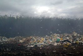 Lixão em Taquarana é interditado e multado, após fiscalização