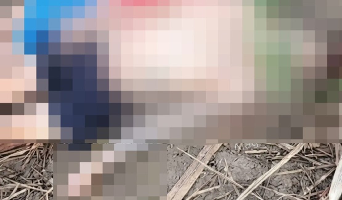 Corpos de homem e mulher mortos a tiros são encontrados em canavial em Novo Lino