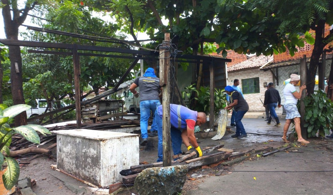 Galinheiro é construído em canteiro de avenida em Maceió