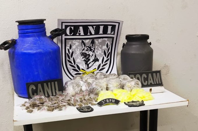 Cão farejador leva Polícia Militar a esconderijo de drogas, em área de mata em Arapiraca