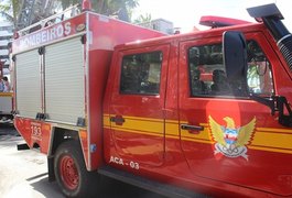 Carro pega fogo em trecho da AL-220, em Limoeiro de Anadia