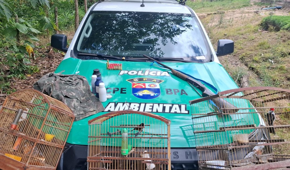 Após denúncia anônima, PM flagra arma e aves silvestres em cativeiro, em Alagoas
