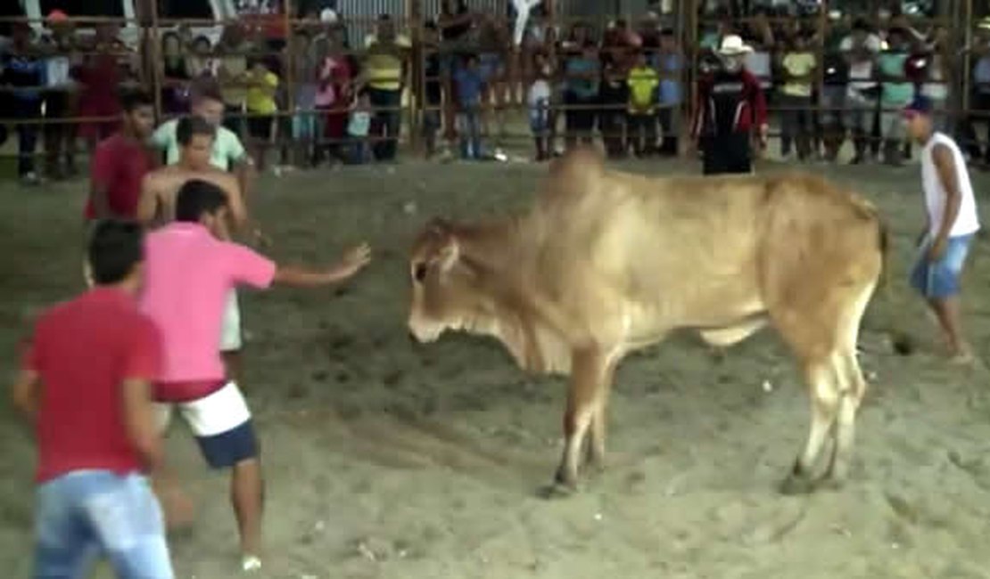 Maus-tratos a animais são flagrados em rodeio no interior de Alagoas