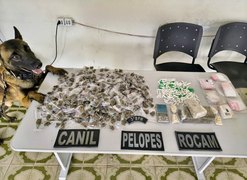 PM apreende 38 armas de fogo e mais de 665 Kg de drogas na última semana em Alagoas