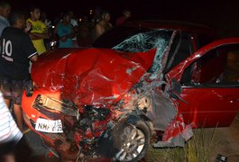 Animais na pista são causa de acidente na AL-215, em Marechal Deodoro