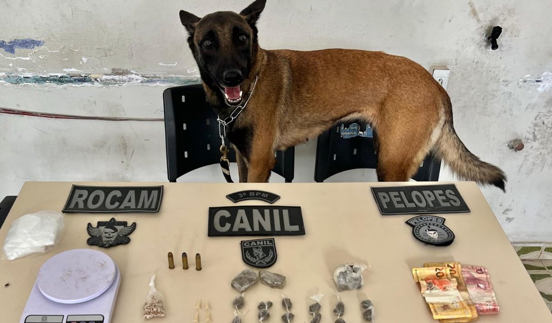 Arapiraca: Homem preso em flagrante vendia drogas em residência sob ordens de traficante conhecido como 'Papudo'