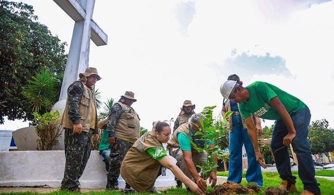 Arapiraca registra mais de 5 mil plantios de árvores só no primeiro semestre de 2024