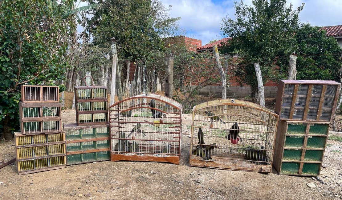 MPAL participa de duas operações nacionais de combate ao tráfico que resultam no resgate de 755 animais silvestres e prisão de um dos maiores traficantes do Brasil