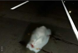 Homem tenta atravessar rodovia, mas é atingido por carreta e morre na BR-101