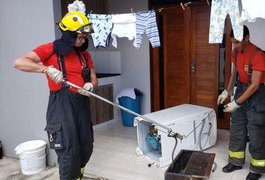 Bombeiros retiram cobra de dentro de máquina de lavar em Arapiraca