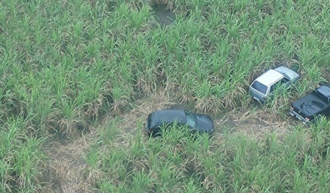 Canaviais viram cemitérios de carros roubados em Alagoas