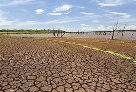 Enfrentando estiagem, Arapiraca e outros 37 municípios alagoanos tem situação de emergência reconhecida