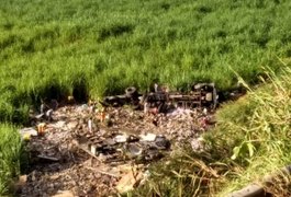 Motorista fica ferido após caminhão de carga sair da pista e tombar em rodovia alagoana