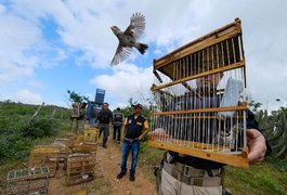 FPI do São Francisco devolve à natureza 157 animais que estavam em cativeiros