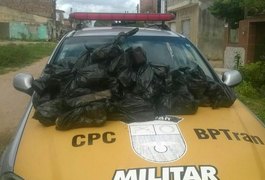Polícia encontra mais 27 kg de maconha em terreno
