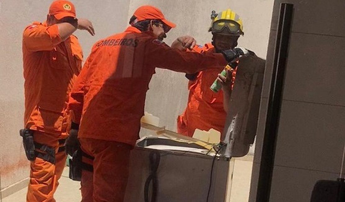 Bombeiros capturam cobra escondida dentro da máquina de lavar, no bairro Bonsucesso