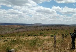 Operação integrada flagra grande área de desmatamento em Belo Monte