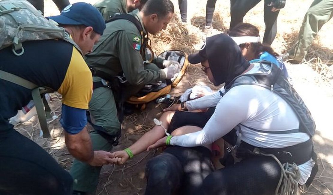 Ataque de abelhas deixa uma pessoa inconsciente e seis feridas durante trekking em Coruripe