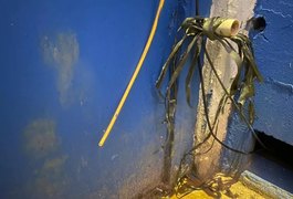 Avaí é punido e perde mando de campo por corte em cabos do VAR