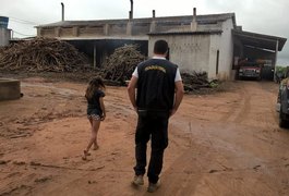 Operação integrada flagra 10 crianças trabalhando em casa de farinha, em Arapiraca