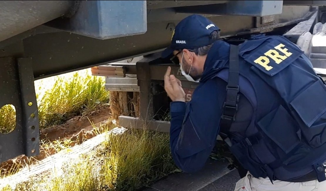 Caminhão com peças roubadas e adulterações é apreendido em São Sebastião