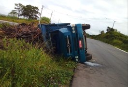 Caminhão carregado de madeira tomba às margens da rodovia AL-220