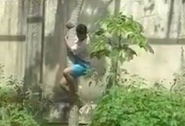 Vídeo: Homem é morto por leoa após entrar em jaula em zoológico de João Pessoa