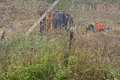 Carro-forte capota e ocupantes sofreram ferimentos leves no Sertão de Alagoas