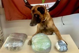 PM apreende drogas e arma de fogo em ações em Jaramataia e Colônia Leopoldina