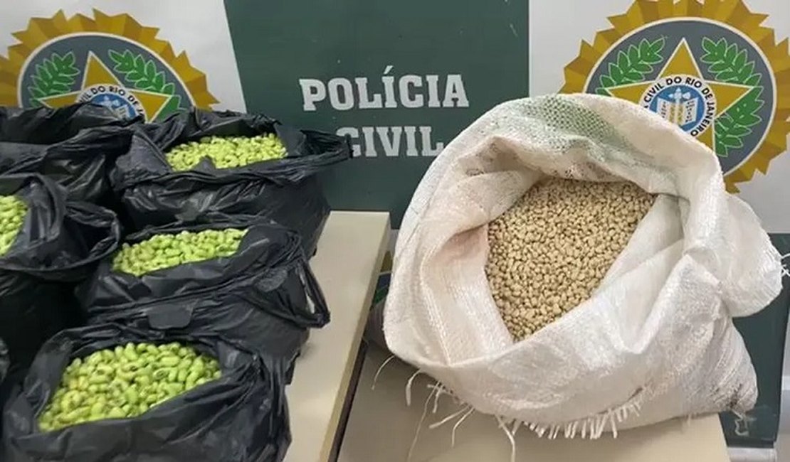 Homem é preso no Rio por tingir de verde feijão fradinho para vender como feijão de corda