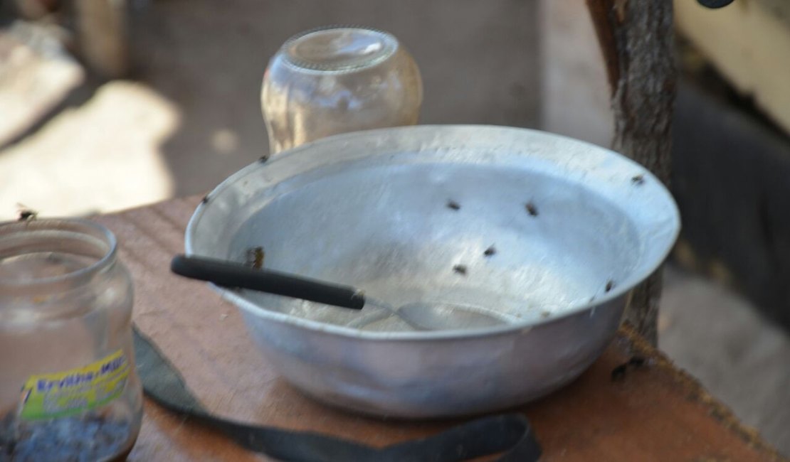 FPI multa em R$ 258 mil a Prefeitura de Delmiro Gouveia por manter lixão na cidade