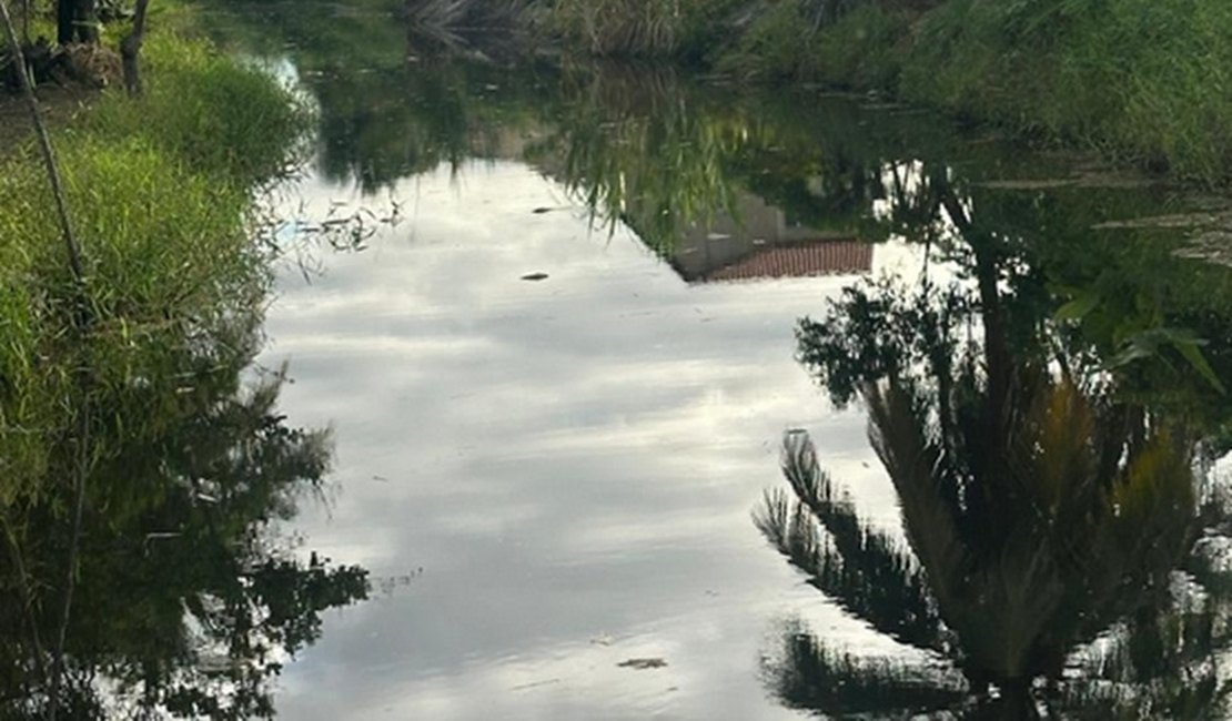 Polícia Civil investiga morte de peixes no Rio Maceiozinho, na Barra de São Miguel