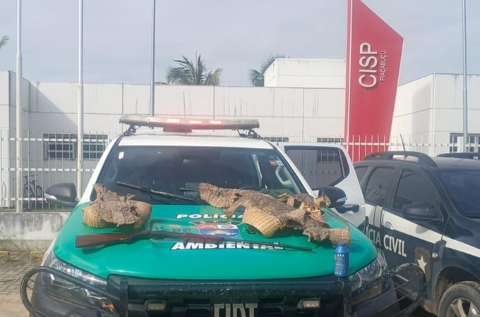 Operação apreende espingarda e peles de jacarés em Piaçabuçu