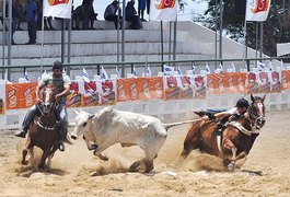Senado aprova PEC para garantir realização de vaquejadas
