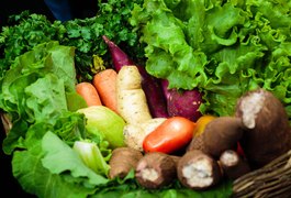 Governo envia pacote de justiça fiscal à ALE; proposta zera imposto de alimentos da cesta básica e protege receitas do Estado