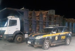 Mais de 50 toneladas de eucalipto sem nota fiscal são apreendidas no interior de Alagoas