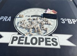 Jovem de 18 anos é preso por tráfico de drogas após perseguição policial, em Arapiraca