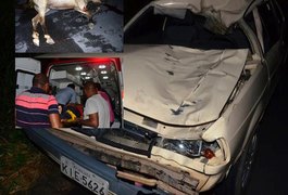 Veículo colide com animal na pista e 5 pessoas ficam feridas, na BR 101, em Joaquim Gomes