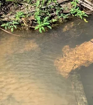 Corpo aparentemente sem cabeça é encontrado em rio, preso a tronco