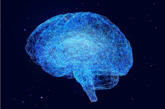 Ciência recupera atividade em cérebro congelado pela 1ª vez