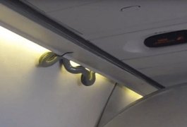 VÍDEO. Cobra surge em teto de aeronave e aterroriza passageiros no México