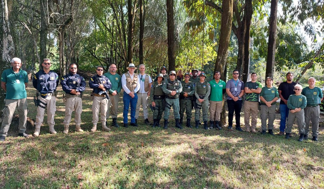 MPAL participa da nova edição da Operação Mata Atlântica em Pé; ação é de combate o desmatamento