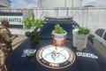 Polícia Militar apreende 5kg de drogas e descobre plantação de maconha em Maceió
