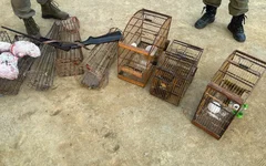 BPA apreende armas, resgata aves silvestres e flagra caça ilegal em Alagoas