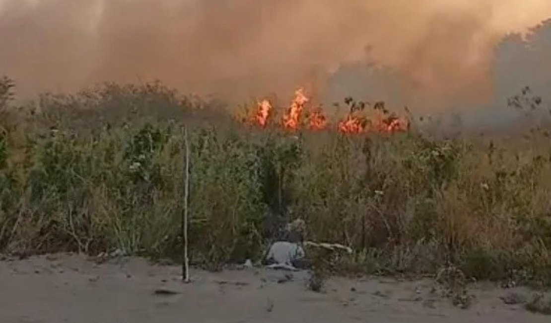 Polícia Militar prende suspeito de provocar incêndio criminoso em Maceió