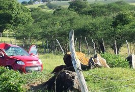 Condutora perde controle de veículo, sai da pista e capota na AL-110