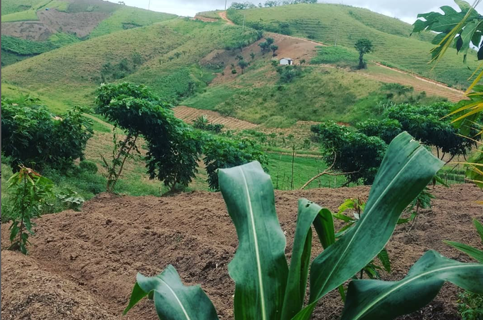 Muito além da fé: entenda o porquê 19 de março, Dia de São José é importante para a agricultura familiar no Nordeste