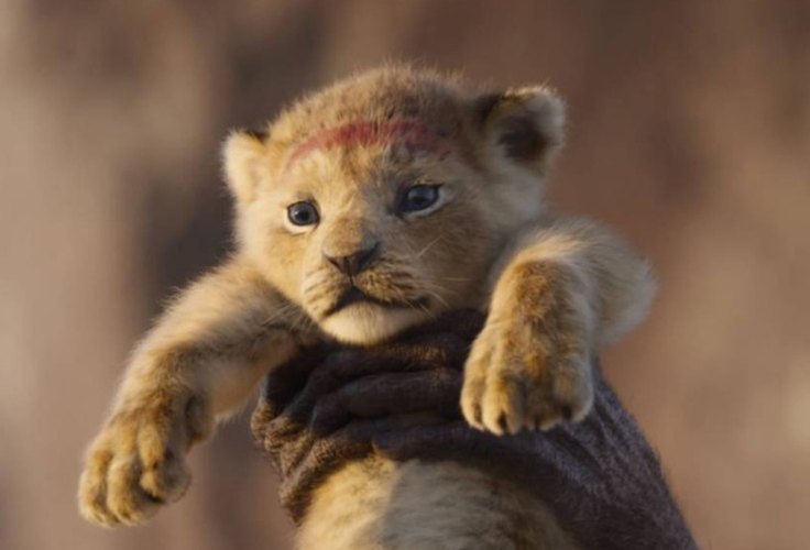 O Rei Leão: 5 lições de marketing para aprender com o filme